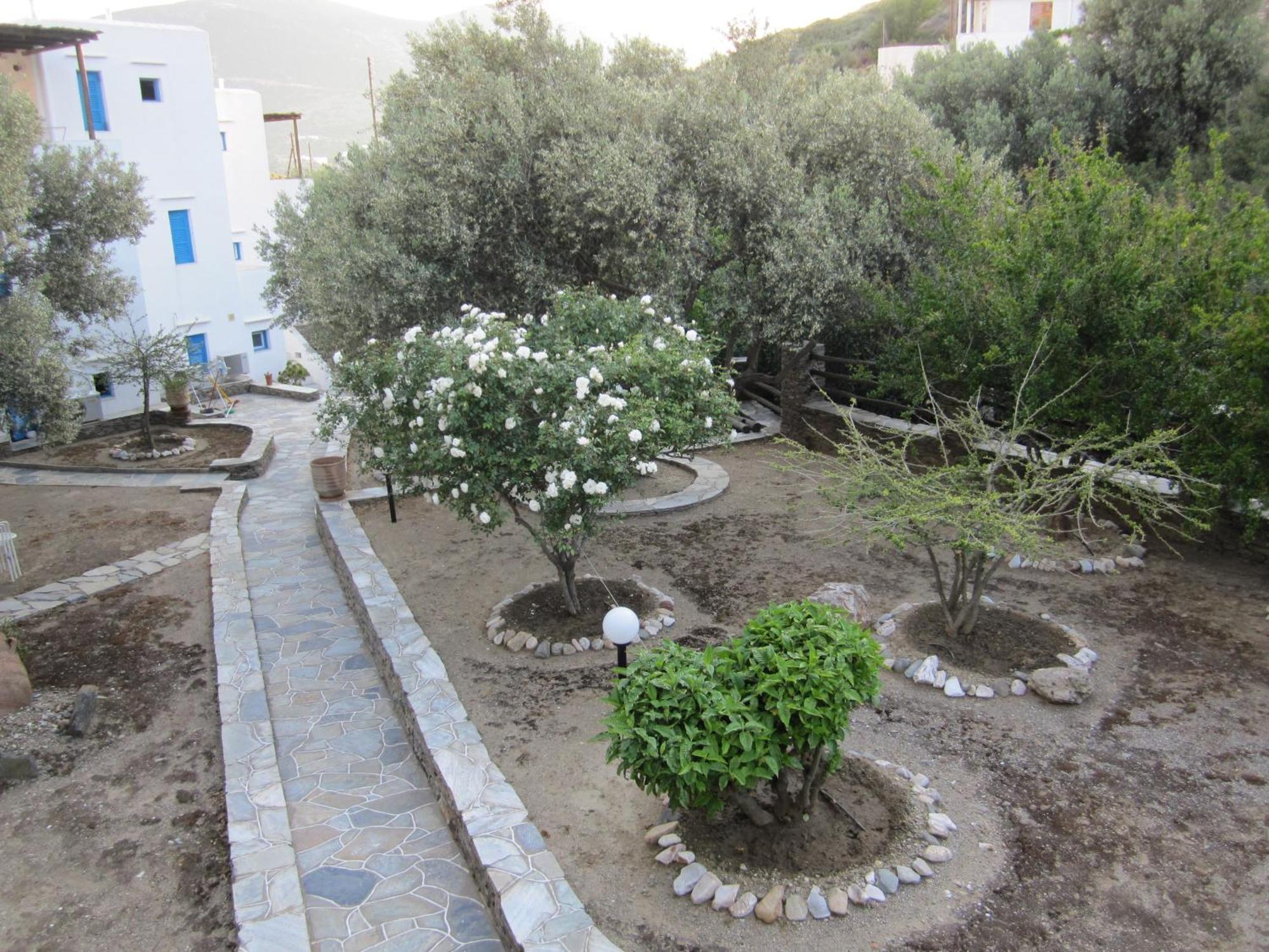 Alexandros Hotel Platis Gialos  Dış mekan fotoğraf