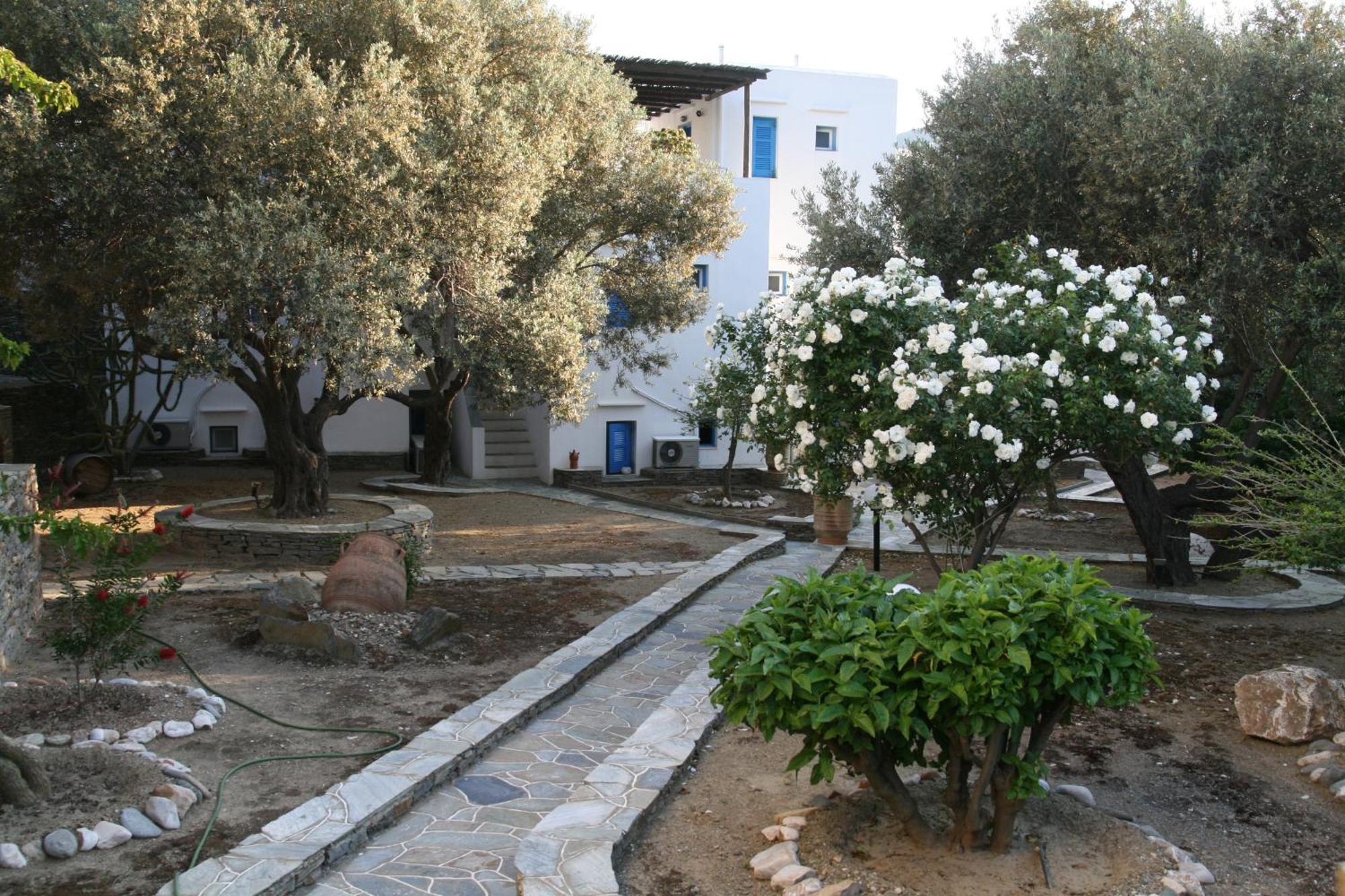 Alexandros Hotel Platis Gialos  Dış mekan fotoğraf