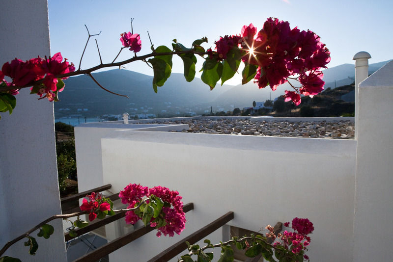 Alexandros Hotel Platis Gialos  Dış mekan fotoğraf